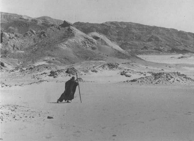 أول مشهد يتم تصويره في الفيلم، هيستون في صحراء سيناء